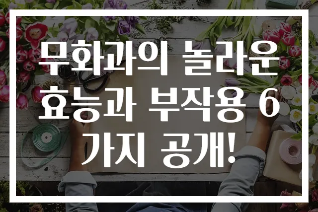 무화과의 놀라운 효능과 부작용 6가지 공개!