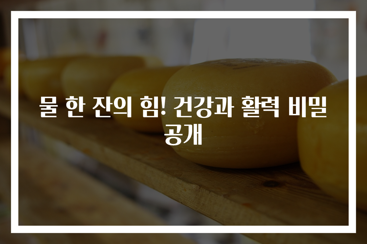 물 한 잔의 힘! 건강과 활력 비밀 공개