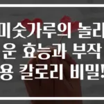 미숫가루의 놀라운 효능과 부작용 칼로리 비밀!