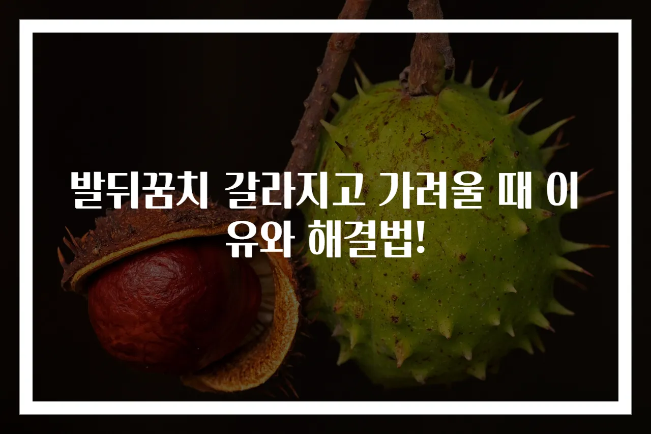 발뒤꿈치 갈라지고 가려울 때 이유와 해결법!