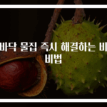 발바닥 물집 즉시 해결하는 비밀 비법