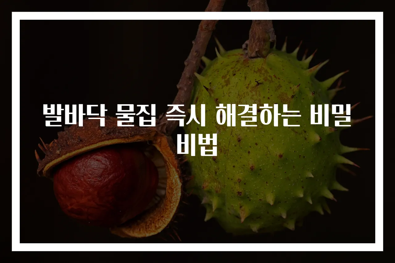 발바닥 물집 즉시 해결하는 비밀 비법