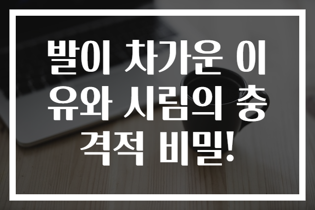 발이 차가운 이유와 시림의 충격적 비밀!