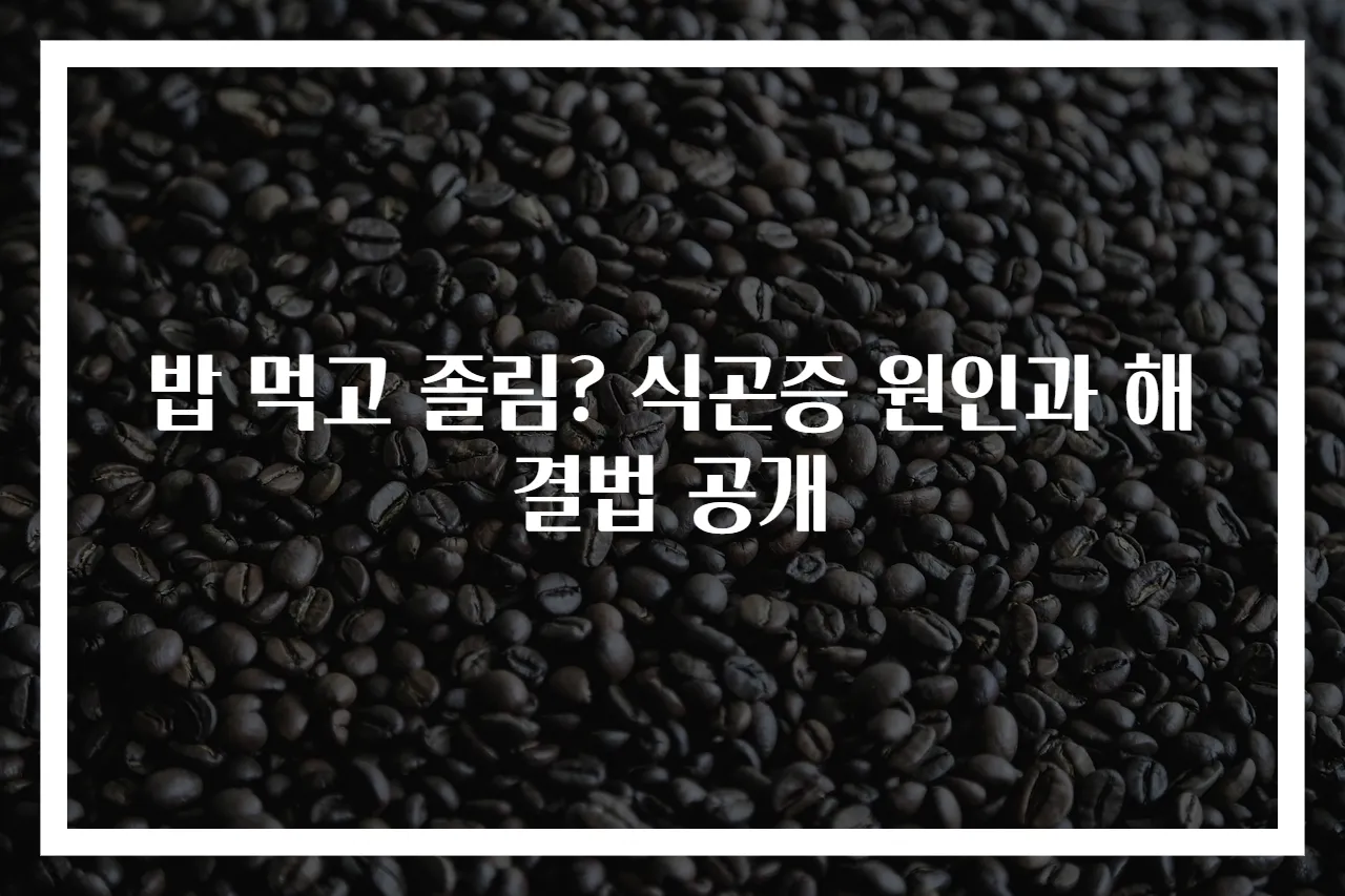 밥 먹고 졸림? 식곤증 원인과 해결법 공개