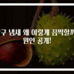 방구 냄새 왜 이렇게 끔찍할까? 원인 공개!