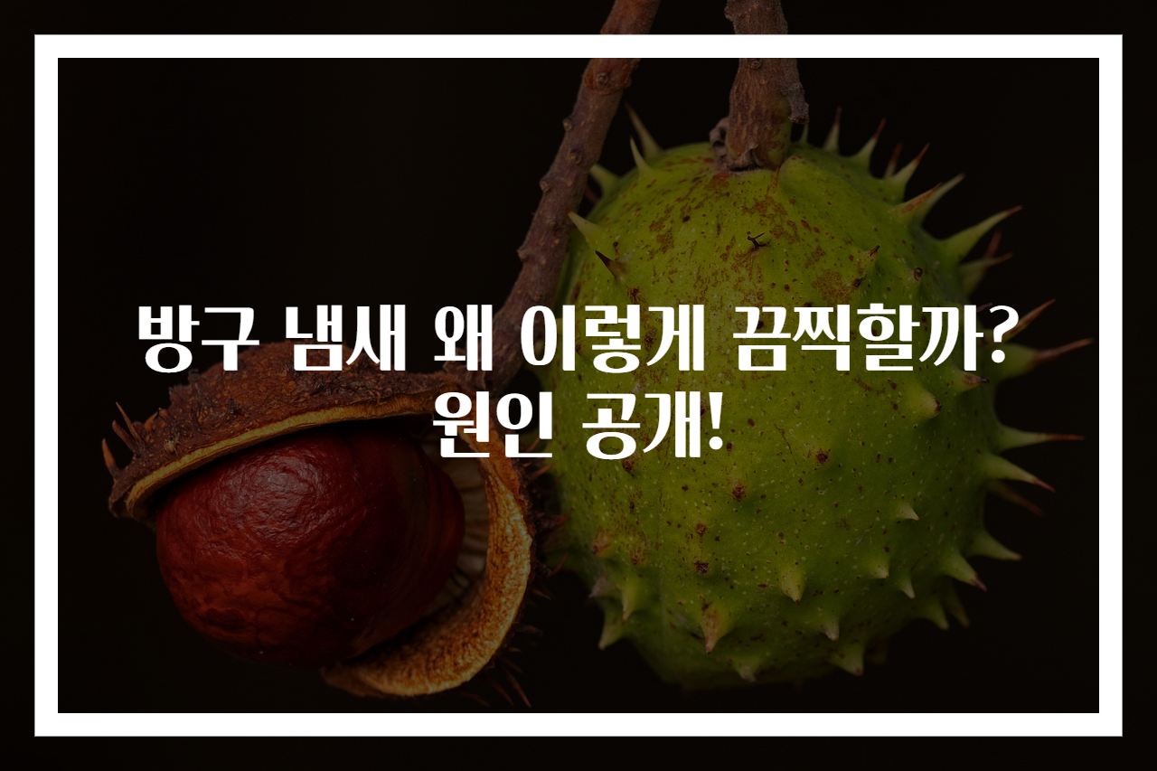 방구 냄새 왜 이렇게 끔찍할까? 원인 공개!