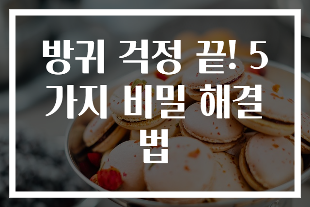 방귀 걱정 끝! 5가지 비밀 해결법