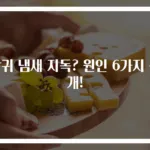 방귀 냄새 지독? 원인 6가지 공개!