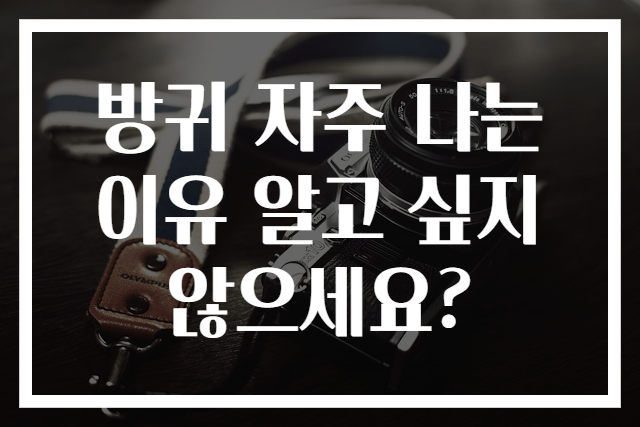 방귀 자주 나는 이유 알고 싶지 않으세요?