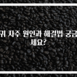 방귀 자주 원인과 해결법 궁금하세요?