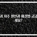 방귀 자주 원인과 해결법 궁금하세요?