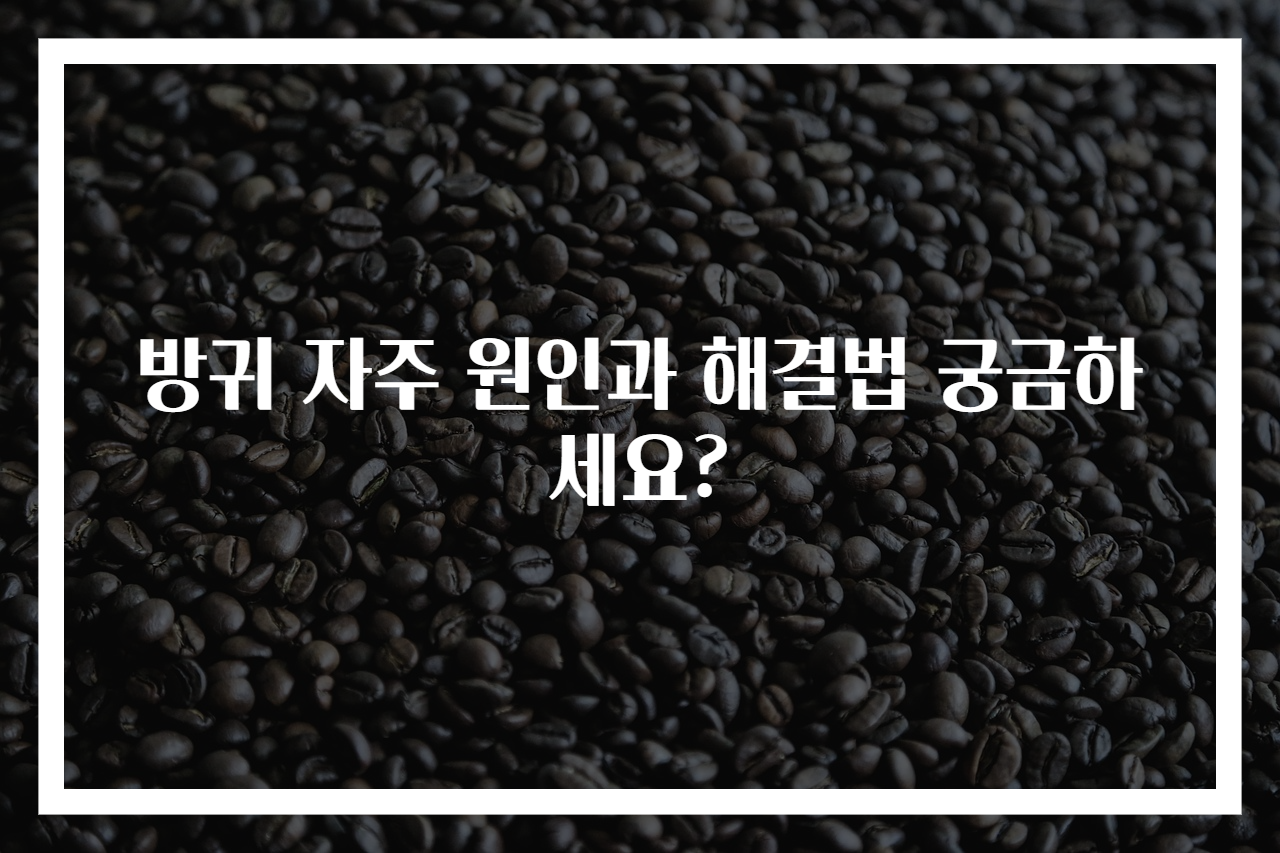 방귀 자주 원인과 해결법 궁금하세요?