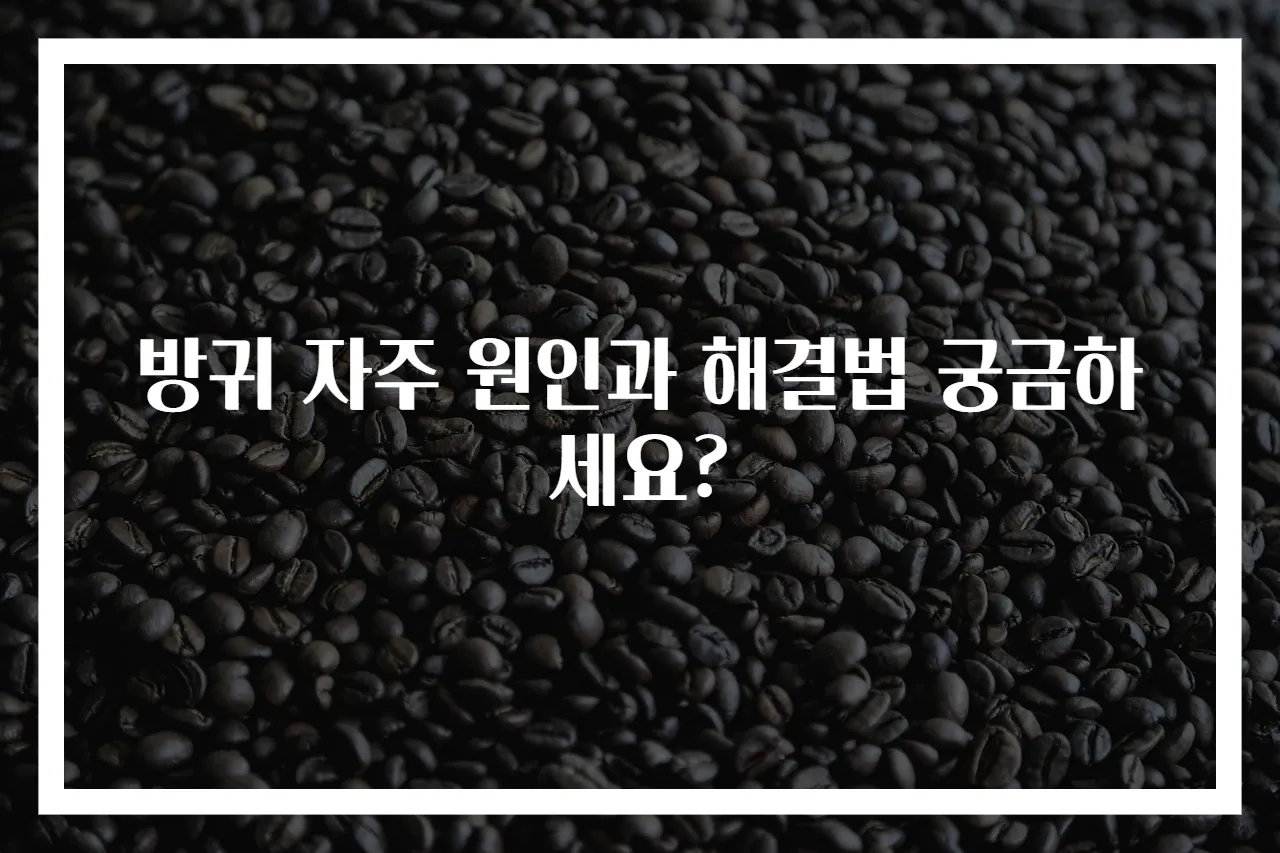 방귀 자주 원인과 해결법 궁금하세요?