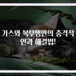 배 가스와 복부팽만의 충격적 원인과 해결법!