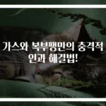 배 가스와 복부팽만의 충격적 원인과 해결법!