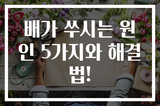 배가 쑤시는 원인 5가지와 해결법!