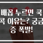 배꼽 누르면 쿡콕 이유는? 궁금증 폭발!
