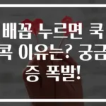 배꼽 누르면 쿡콕 이유는? 궁금증 폭발!
