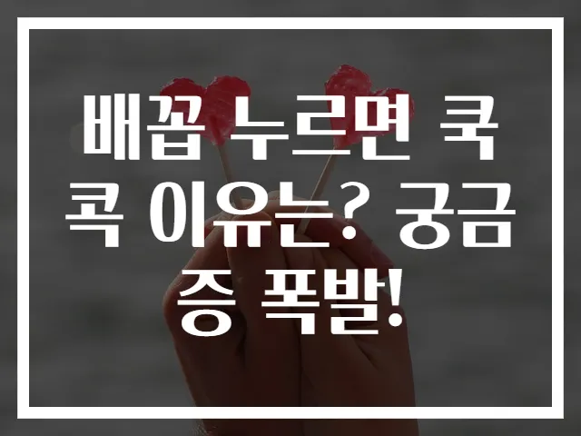 배꼽 누르면 쿡콕 이유는? 궁금증 폭발!