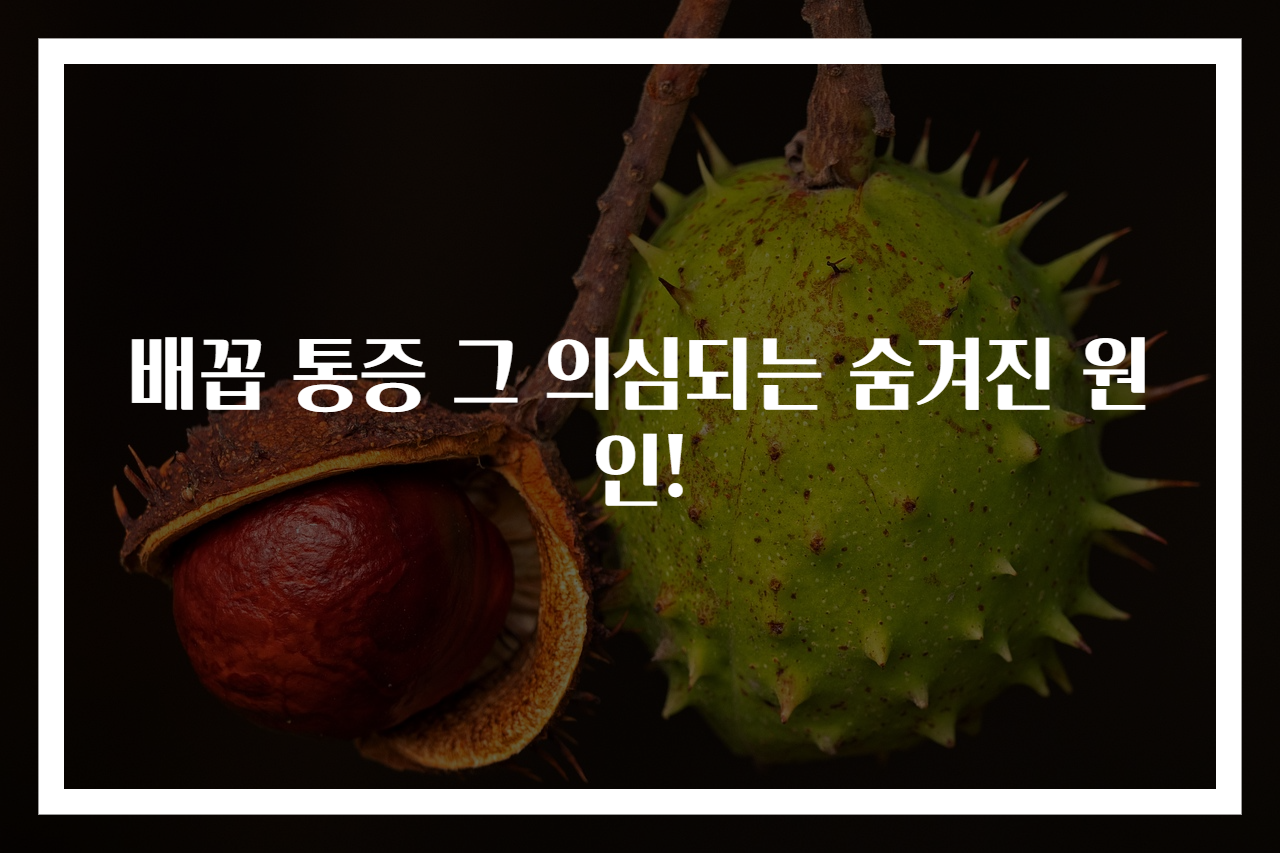 배꼽 통증 그 의심되는 숨겨진 원인!