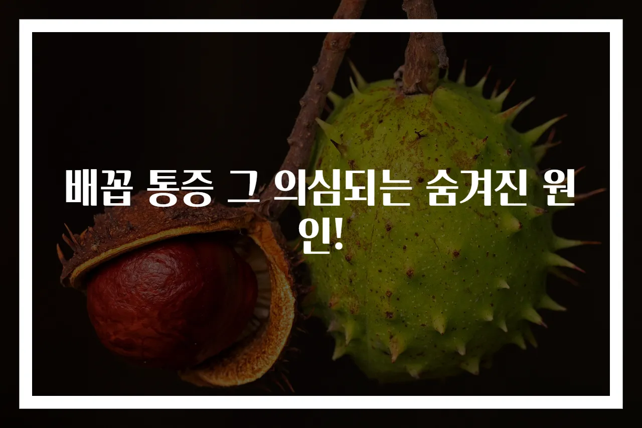 배꼽 통증 그 의심되는 숨겨진 원인!