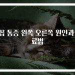 배꼽 통증 왼쪽 오른쪽 원인과 치료법