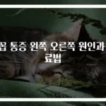 배꼽 통증 왼쪽 오른쪽 원인과 치료법