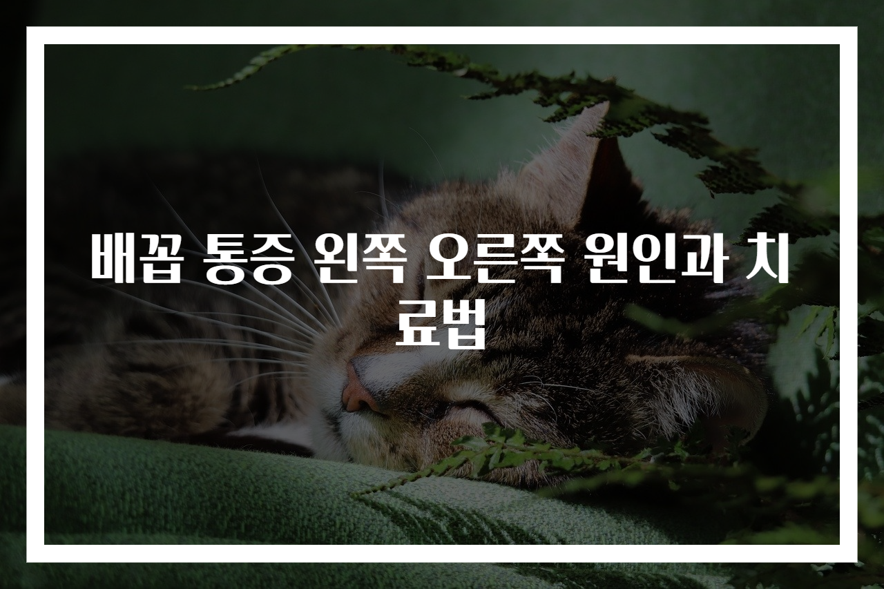배꼽 통증 왼쪽 오른쪽 원인과 치료법