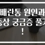 배란통 원인과 증상 궁금증 풀기!