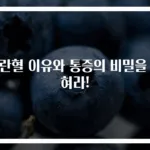배란혈 이유와 통증의 비밀을 밝혀라!
