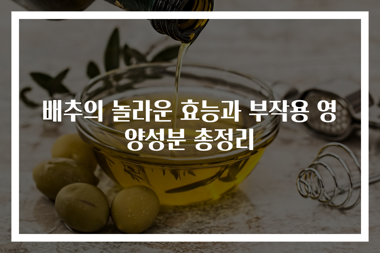 배추의 놀라운 효능과 부작용 영양성분 총정리