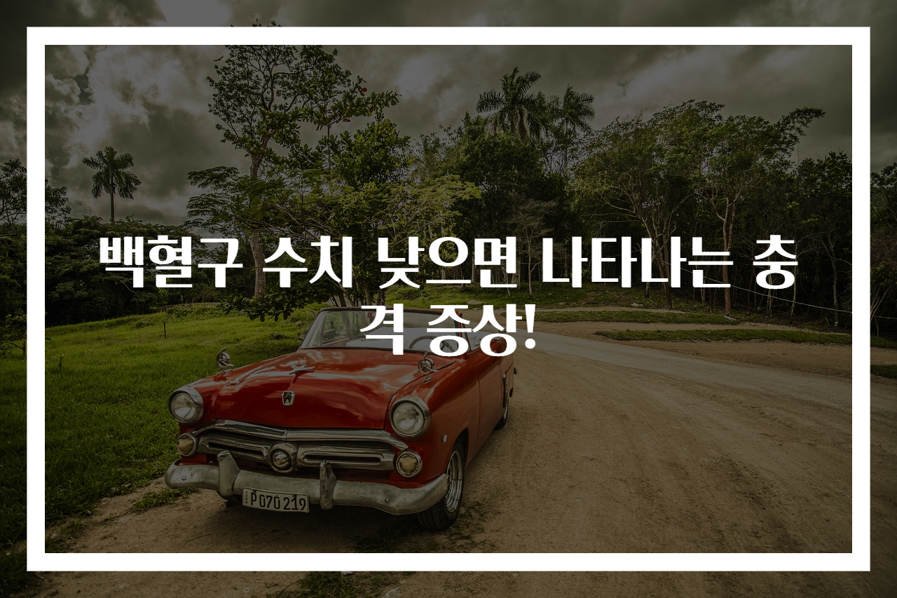 백혈구 수치 낮으면 나타나는 충격 증상!