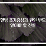 백혈병 조기증상과 원인 반드시 알아야 할 진실