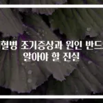 백혈병 조기증상과 원인 반드시 알아야 할 진실