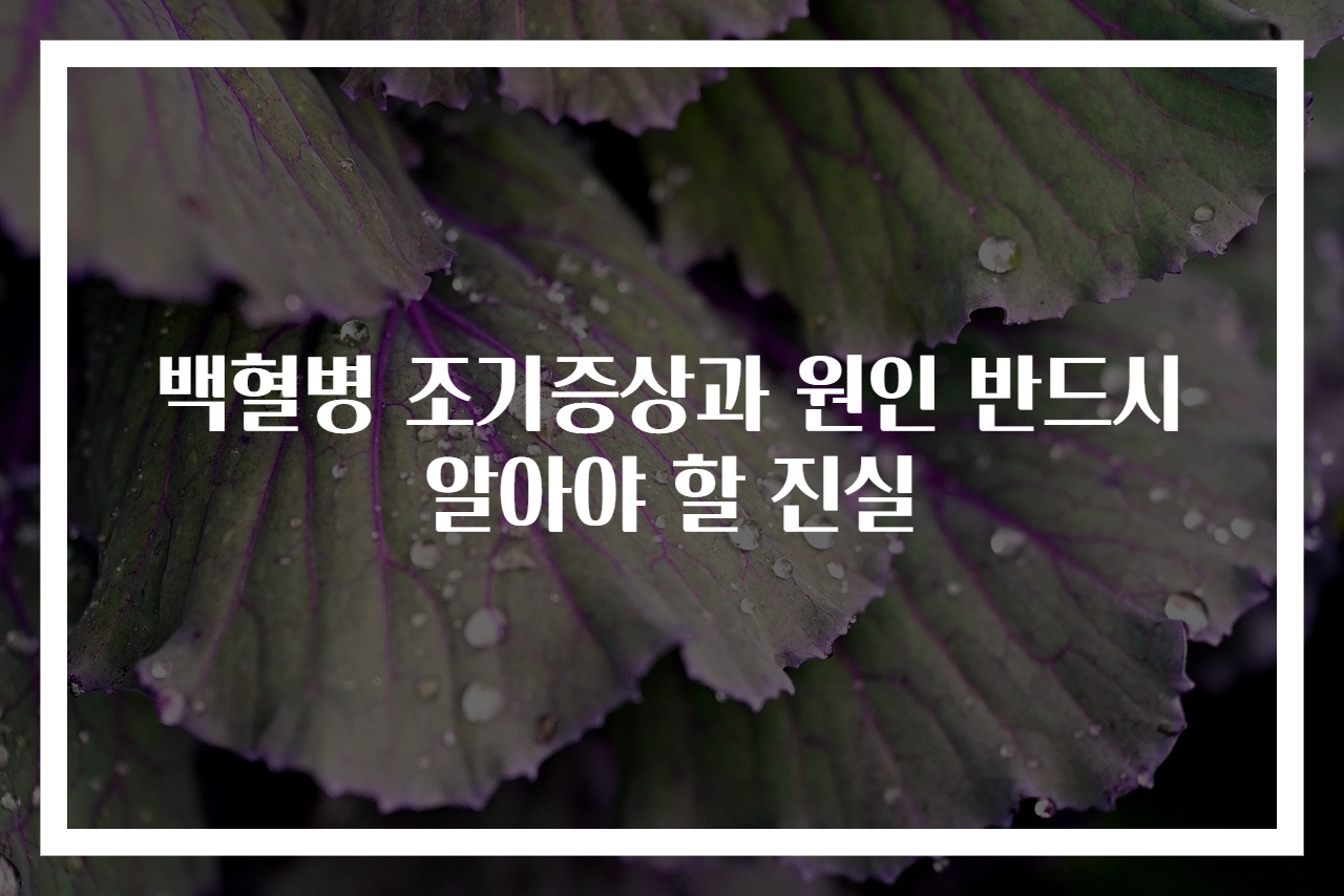 백혈병 조기증상과 원인 반드시 알아야 할 진실