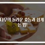 벌나무의 놀라운 효능과 쉽게 먹는 법!
