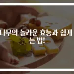 벌나무의 놀라운 효능과 쉽게 먹는 법!