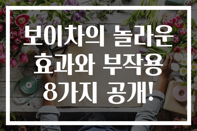 보이차의 놀라운 효과와 부작용 8가지 공개!