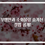 복부팽만과 소화불량 숨겨진 해결법 공개!
