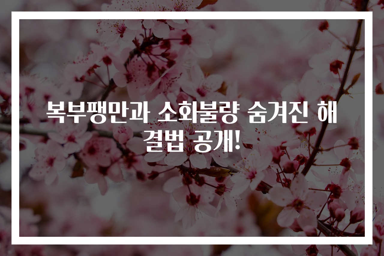 복부팽만과 소화불량 숨겨진 해결법 공개!