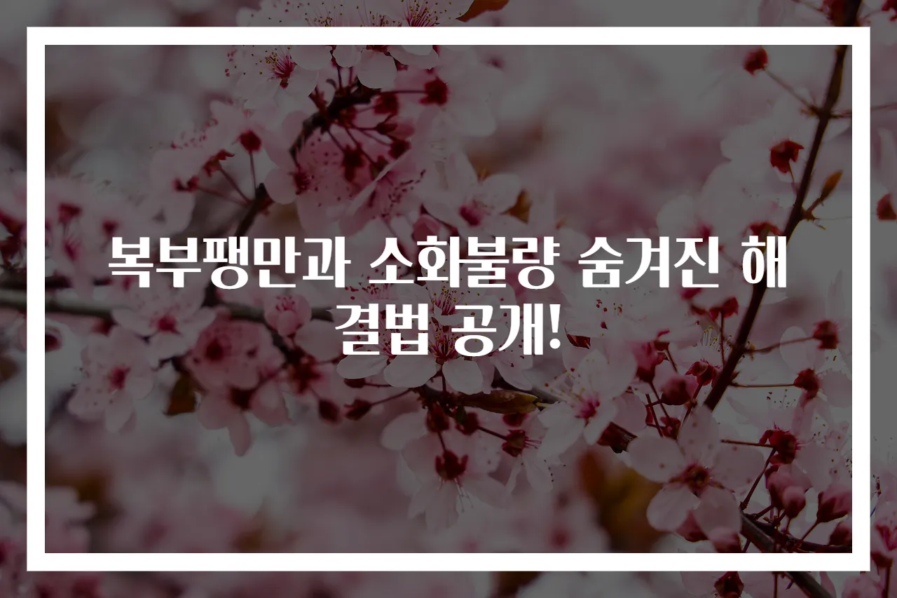 복부팽만과 소화불량 숨겨진 해결법 공개!