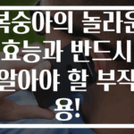 복숭아의 놀라운 효능과 반드시 알아야 할 부작용!