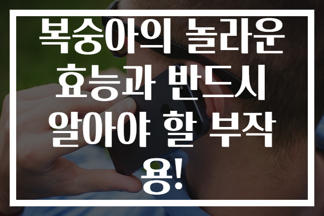 복숭아의 놀라운 효능과 반드시 알아야 할 부작용!