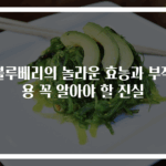 블루베리의 놀라운 효능과 부작용 꼭 알아야 할 진실