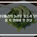 블루베리의 놀라운 효능과 부작용 꼭 알아야 할 진실