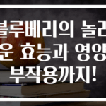블루베리의 놀라운 효능과 영양 부작용까지!