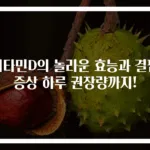 비타민D의 놀라운 효능과 결핍 증상 하루 권장량까지!