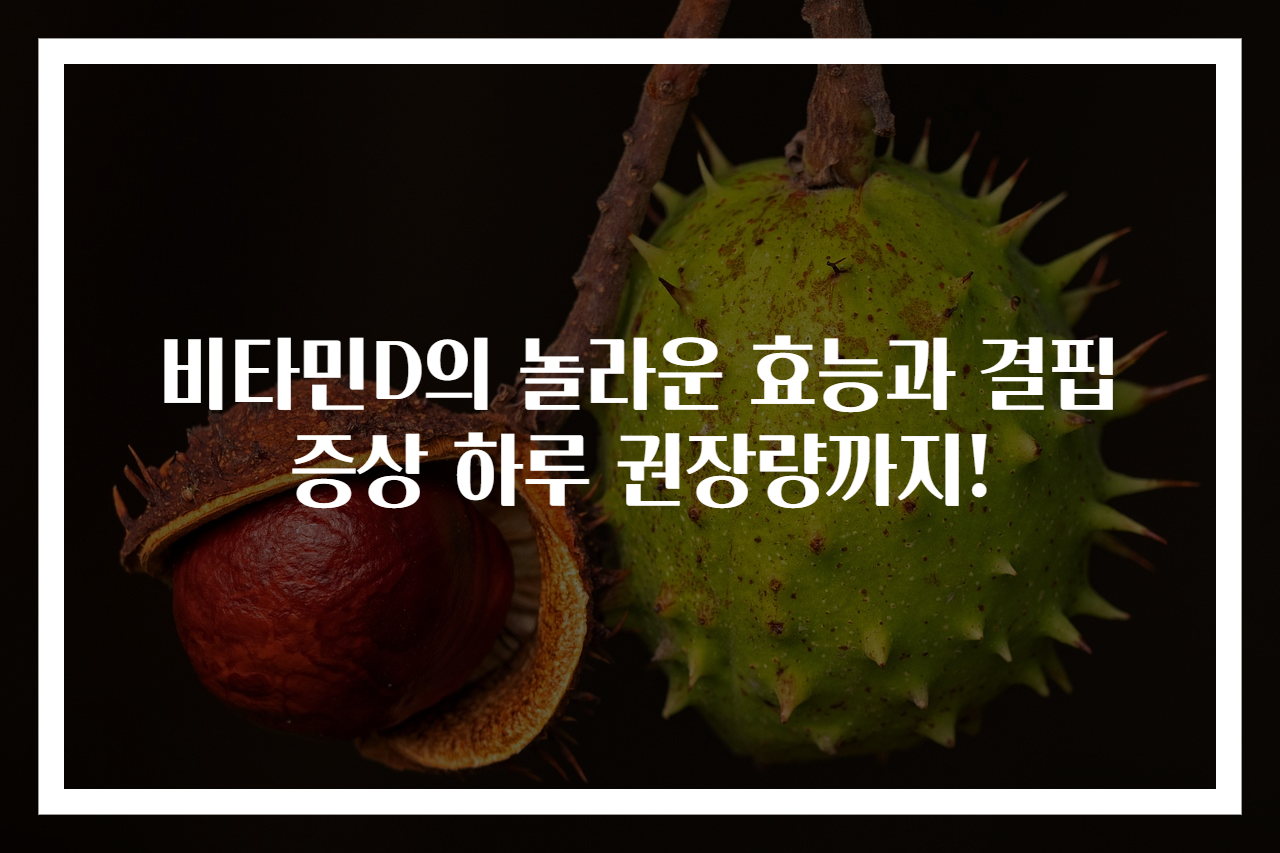 비타민D의 놀라운 효능과 결핍 증상 하루 권장량까지!