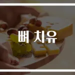 뼈 치유