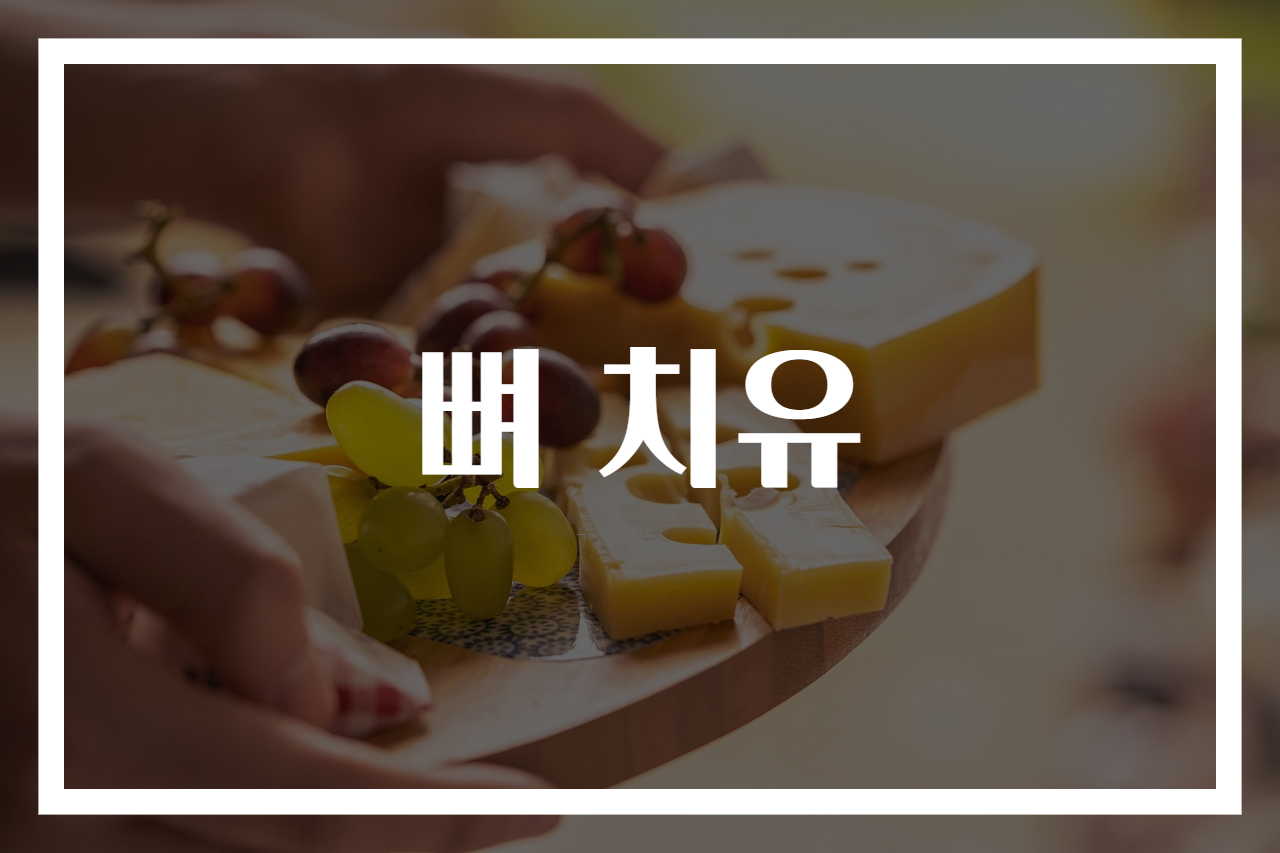뼈 치유
